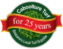 25yrs