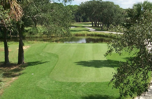 golf-course1 golf-course1