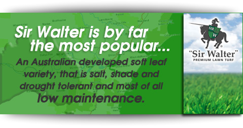 SirWalter_banner