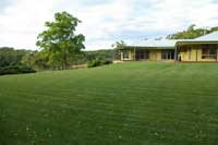 grass_sirwalter03