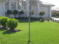 house_02