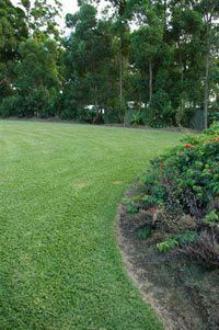 house_lawn_02