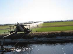 Lateral_Irrigator_I.jpg