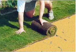 Laying_Your_Lawn.jpg