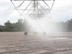 Pivot_Irrigation_III.jpg