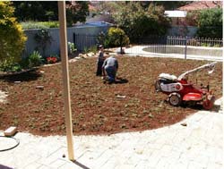 Planting_Village_Green.jpg