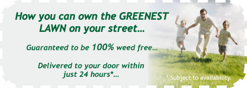 greenest_lawn.jpg