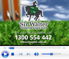 sir_walter_movie.jpg