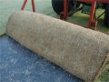 lokturf_02_2