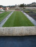 EnviroTurf