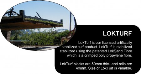 lokturf