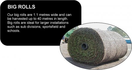 big_rolls