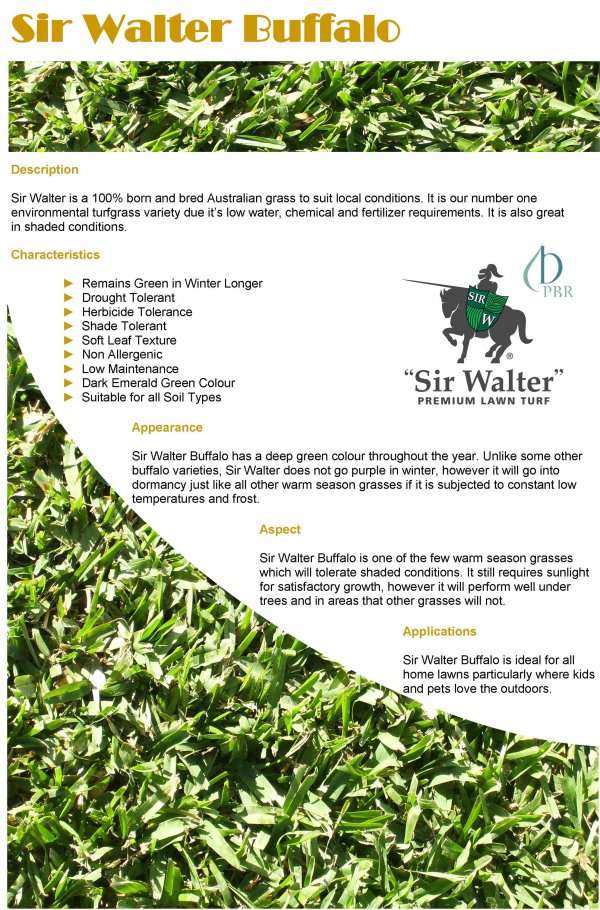 Sir_walter_web