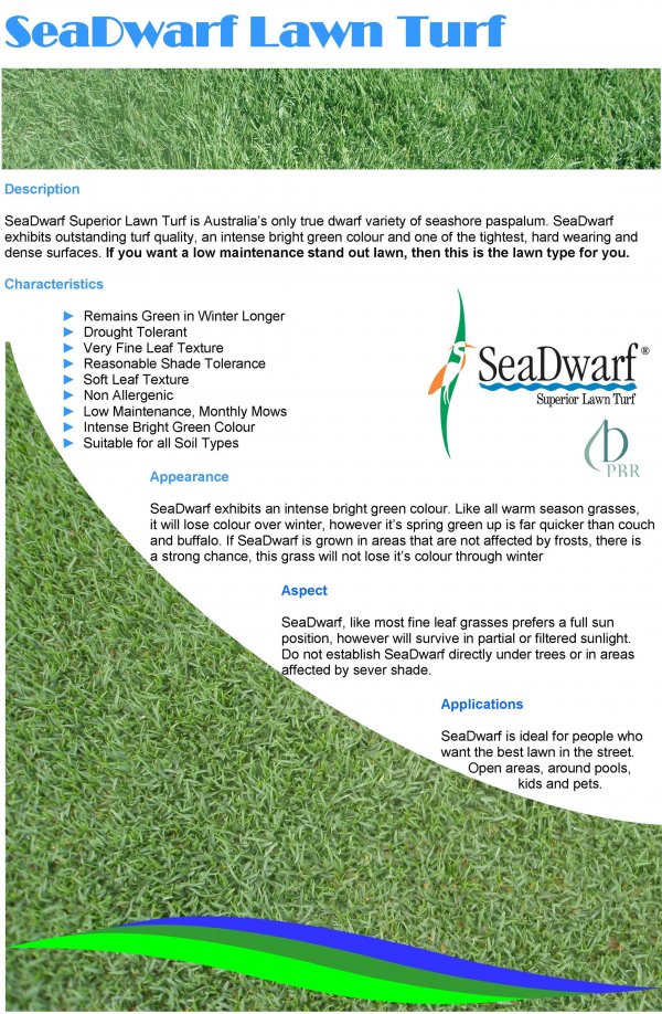SeaD_Web