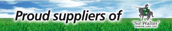 Banner Banner