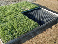 sportsturf_01 sportsturf_01