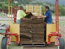 turf_supply_01