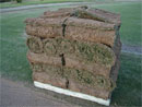 turf_supply_02
