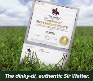 sirwalter-certificate.jpg