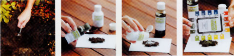test-ph.jpg