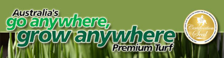 grow_anywhere.jpg