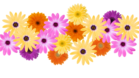 summer_flowers summer_flowers