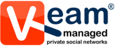 vteamlogo_1_1